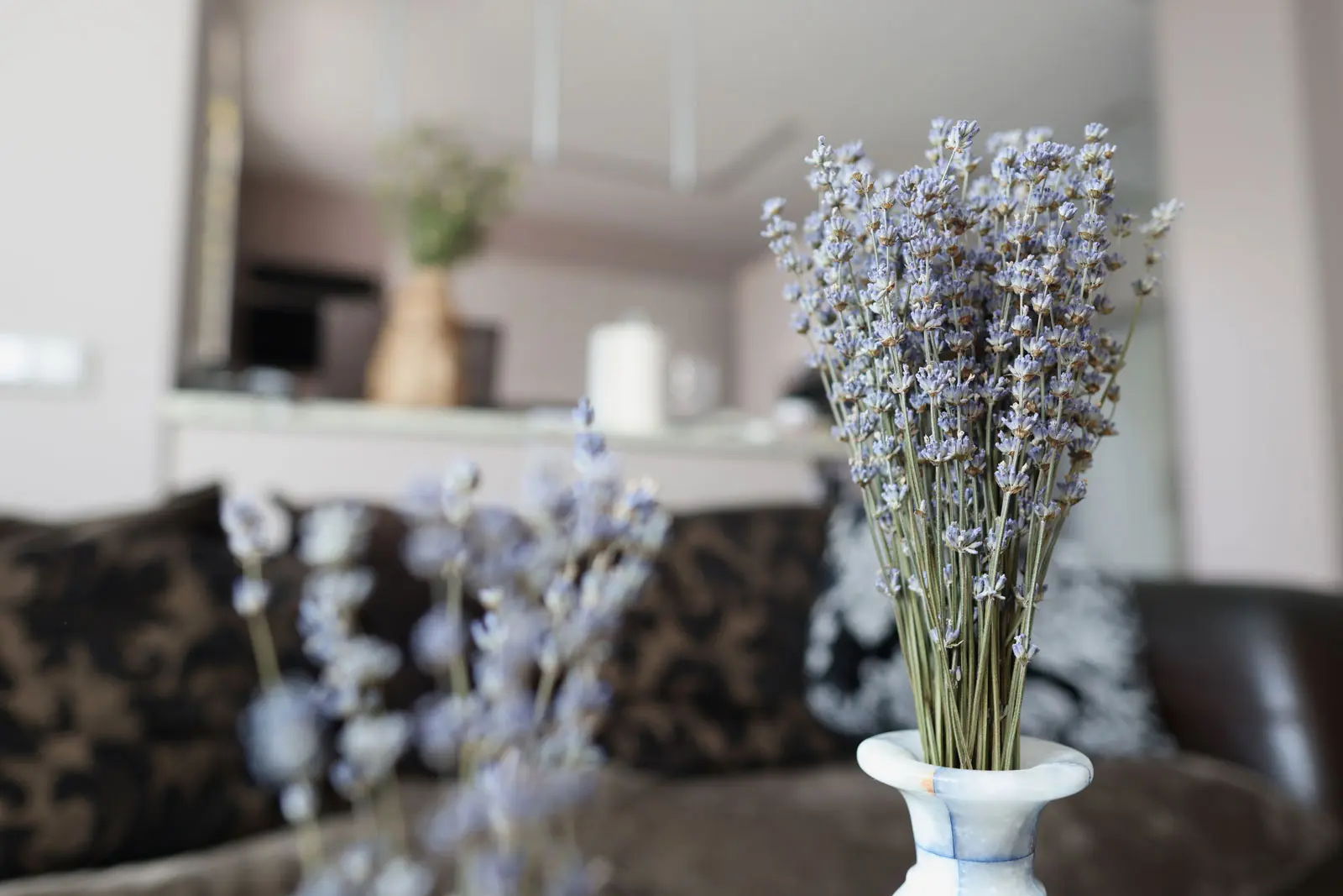 ABC calm lavendar 488333136